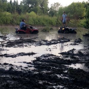 Meet your Posher, Adrian